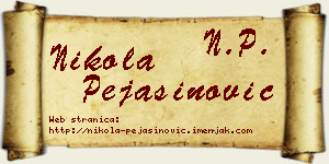 Nikola Pejašinović vizit kartica